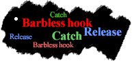 Barbless hook Catch&Releace